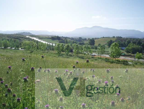 Venta de terreno en Ronda