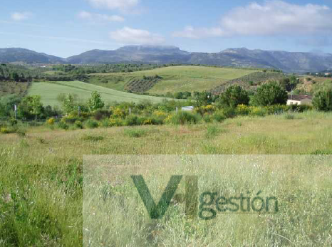 Venta de terreno en Ronda
