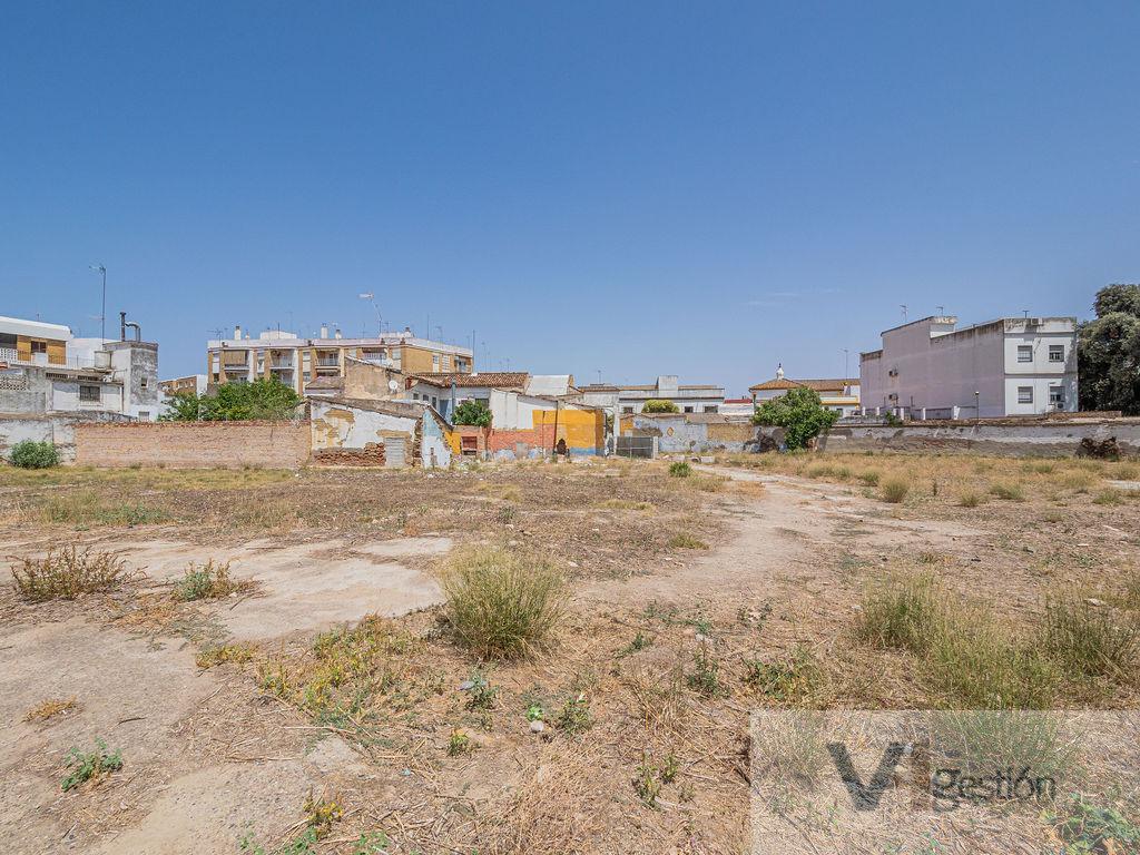 For sale of land in Camas