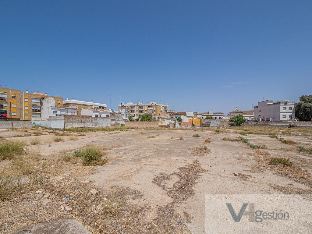 For sale of land in Camas