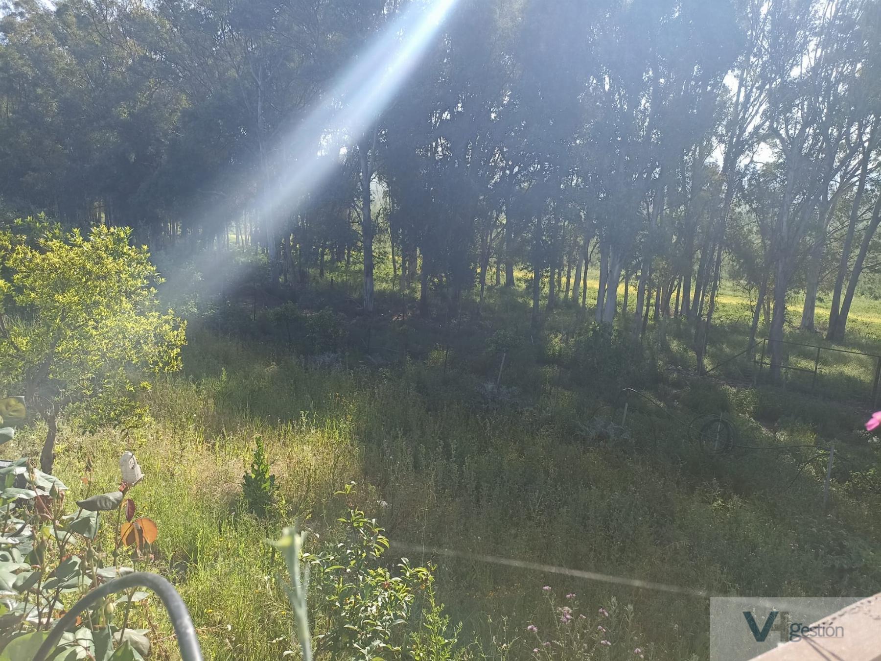 For sale of rural property in Villamartín