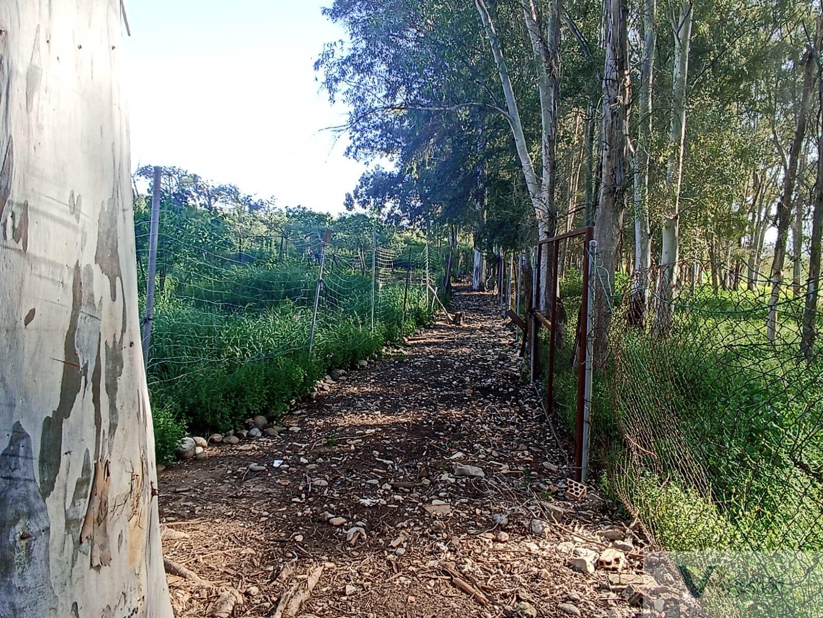 For sale of rural property in Villamartín