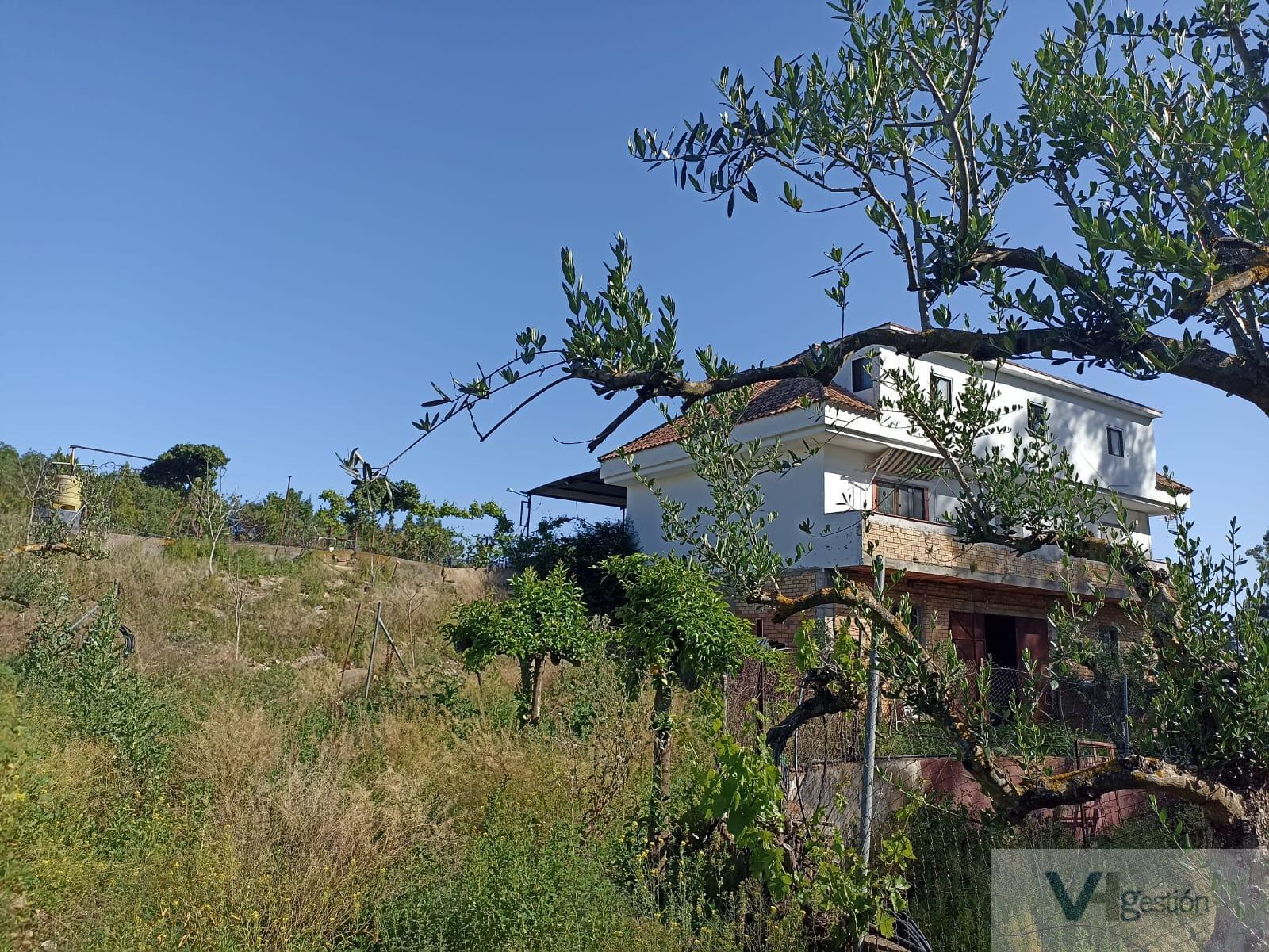 For sale of rural property in Villamartín