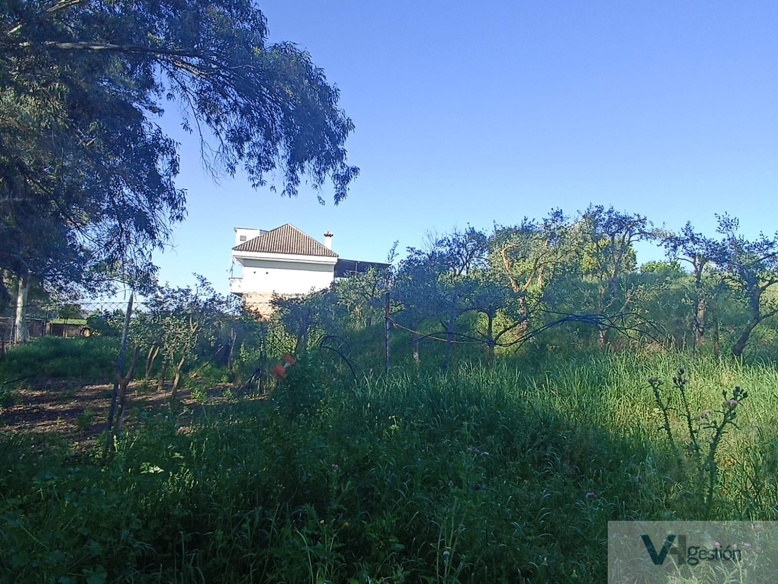 For sale of rural property in Villamartín