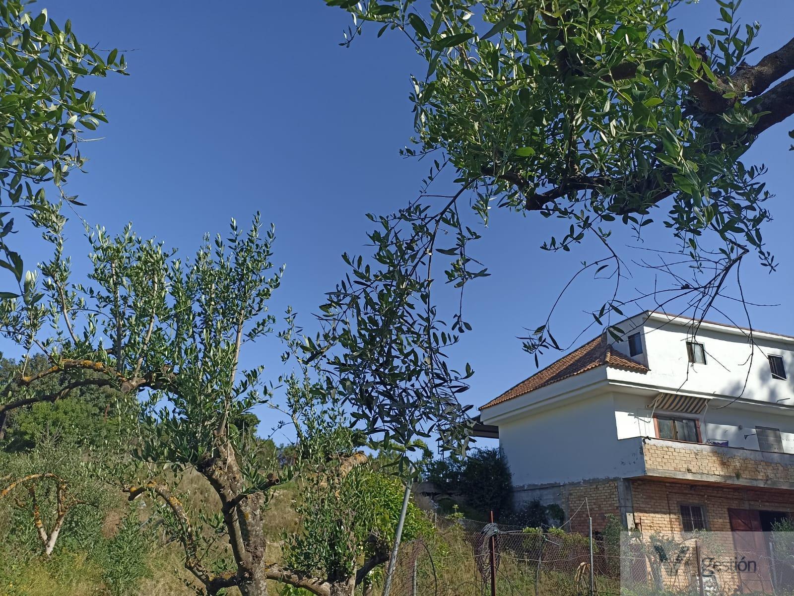 For sale of rural property in Villamartín