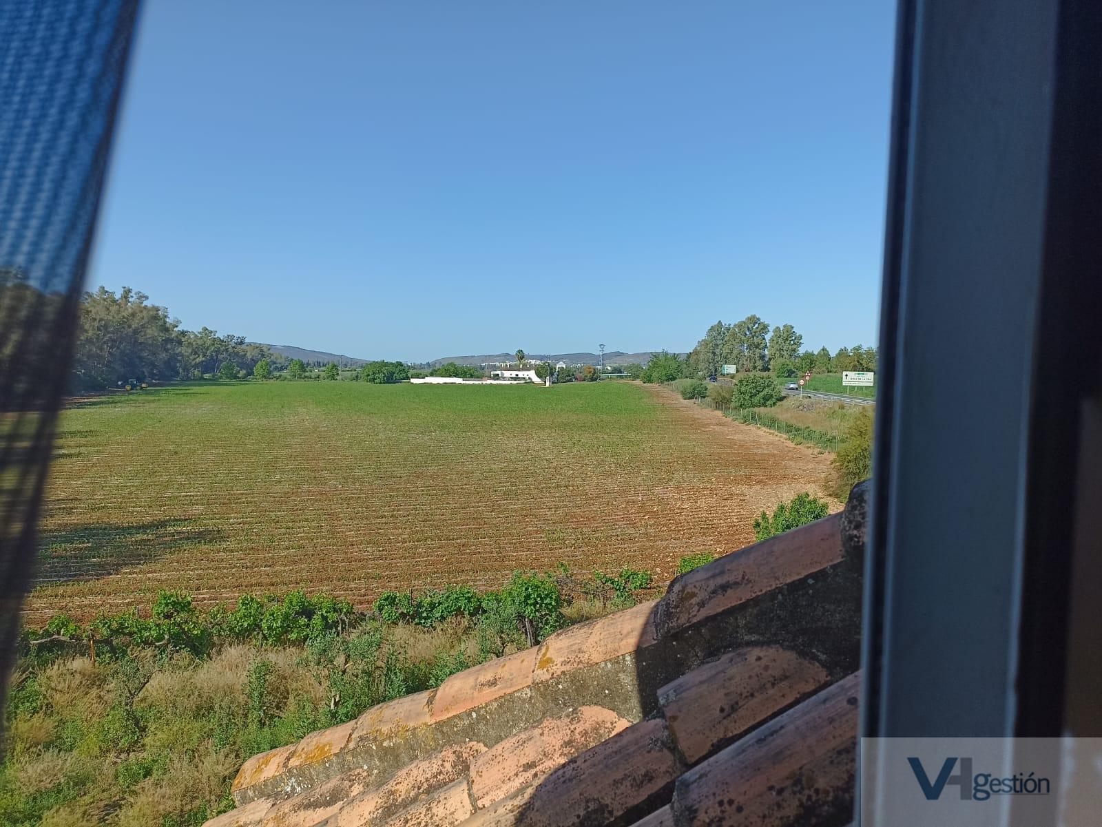 For sale of rural property in Villamartín