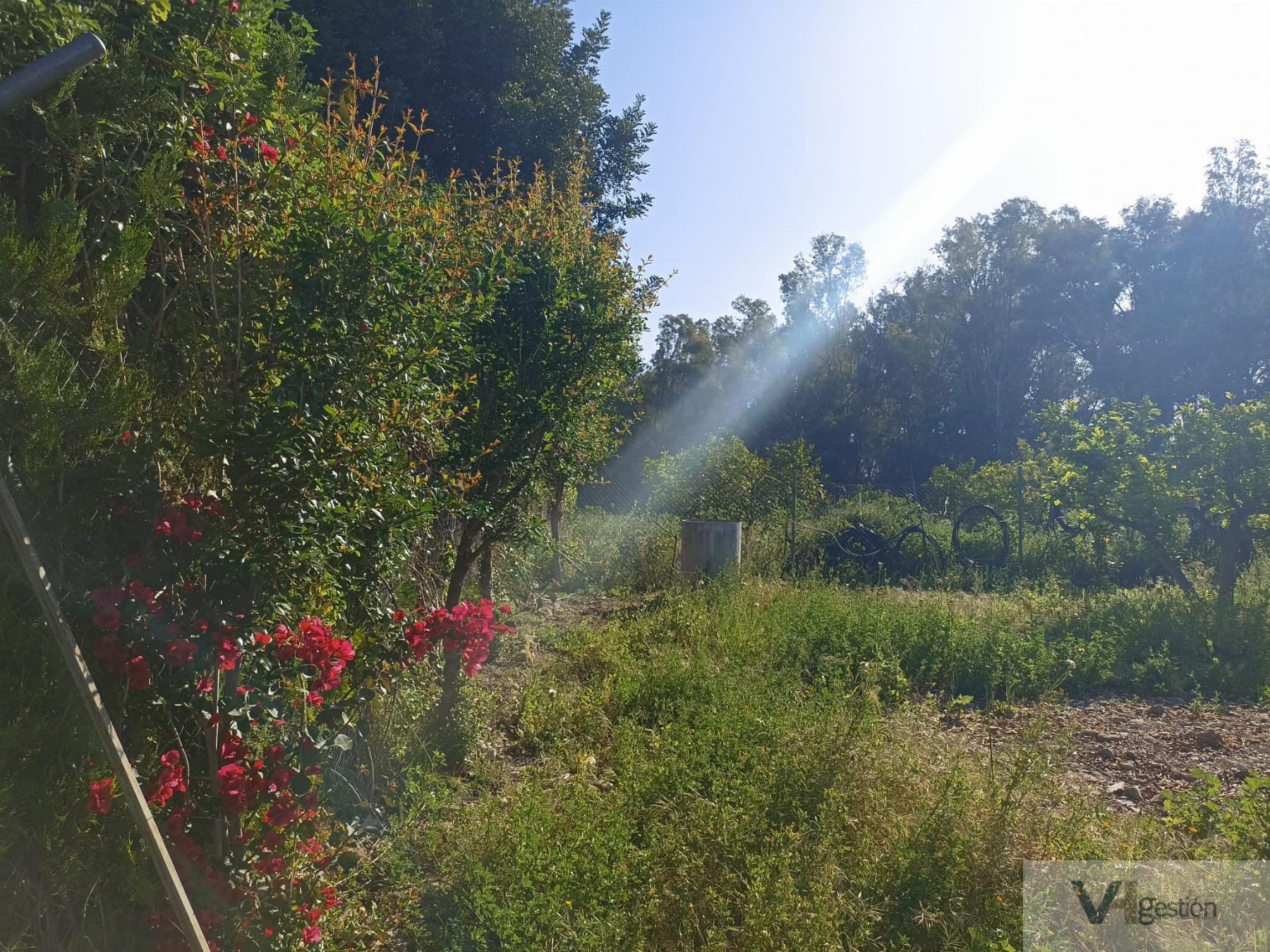 Venta de finca rústica en Villamartín