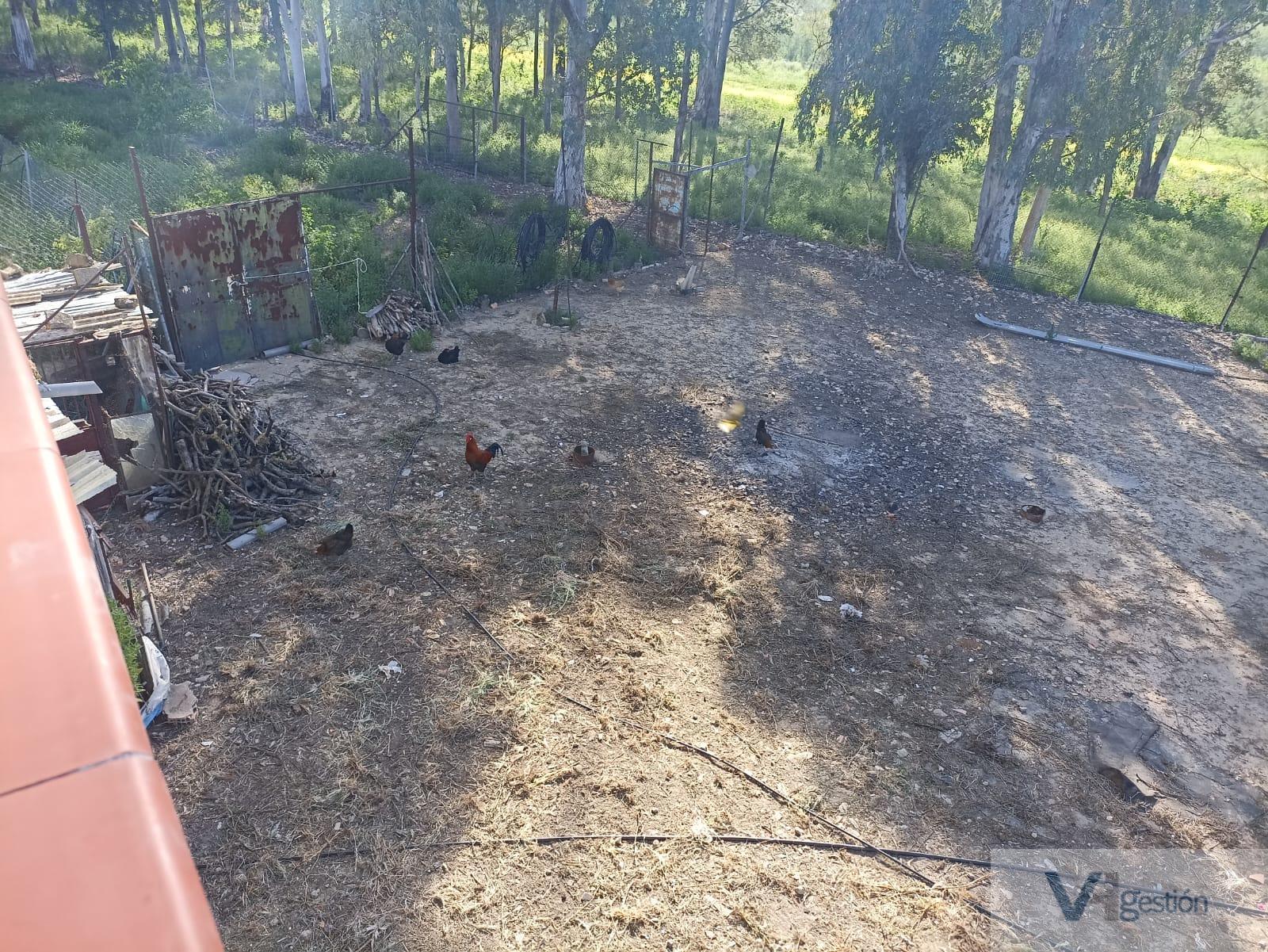 For sale of rural property in Villamartín