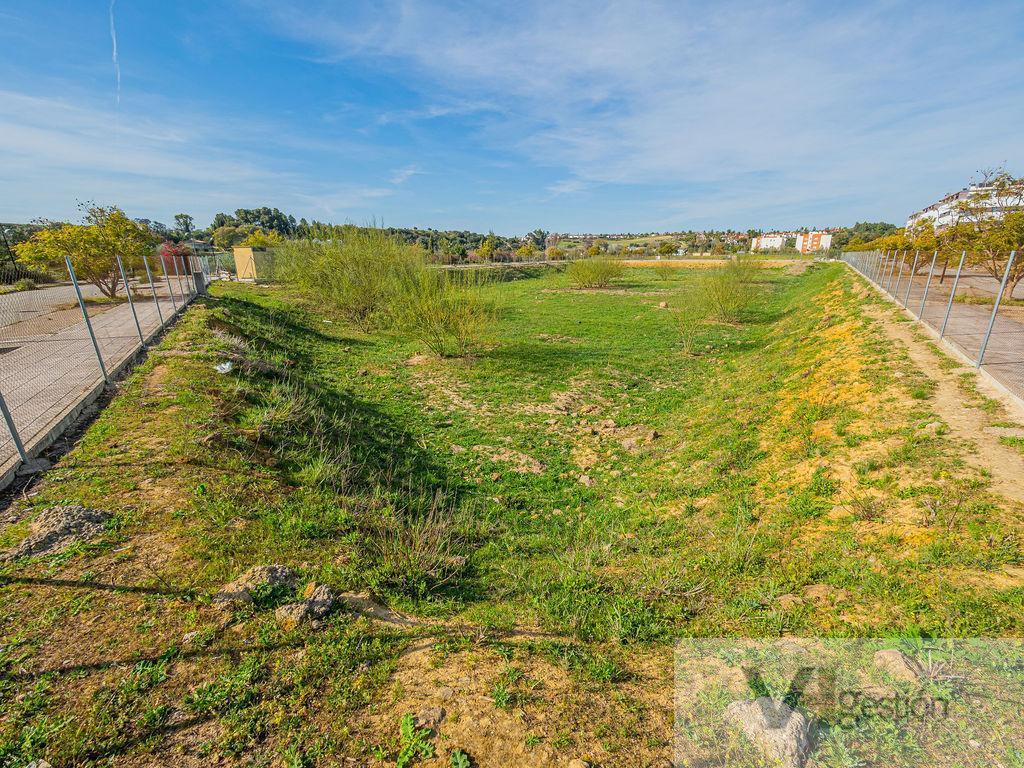Venta de terreno en Gelves
