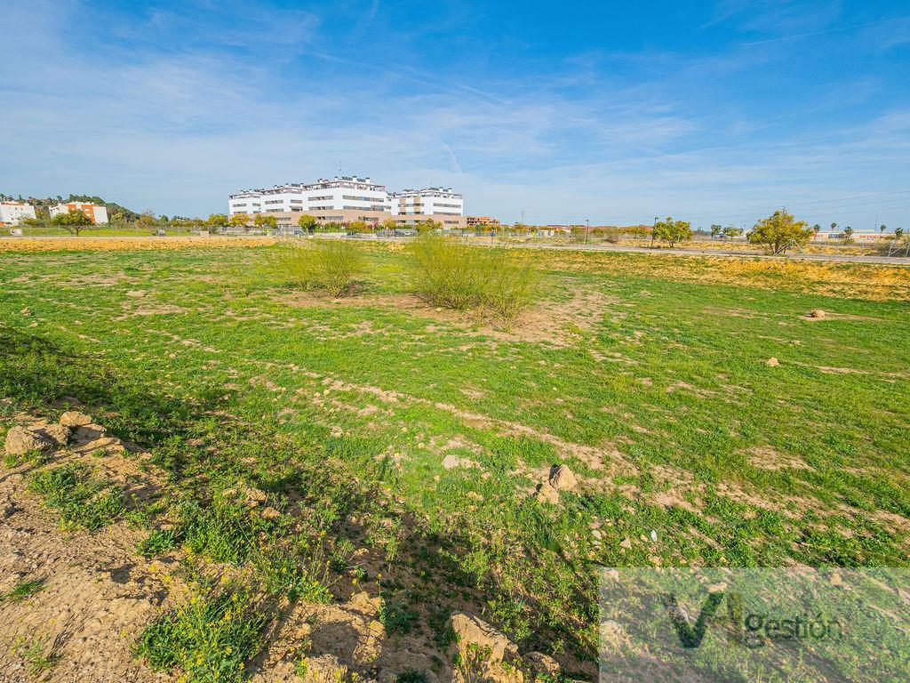 Venta de terreno en Gelves