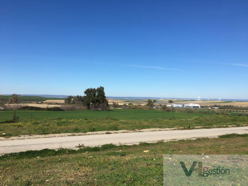 For sale of land in Huévar del Aljarafe