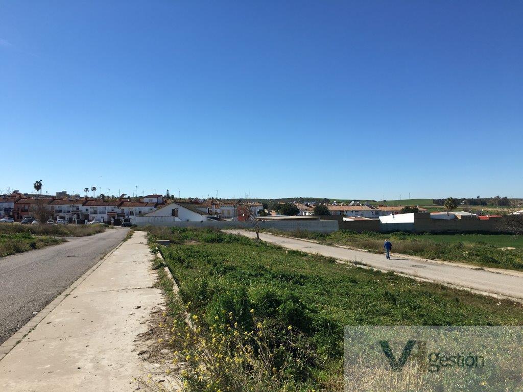 For sale of land in Huévar del Aljarafe