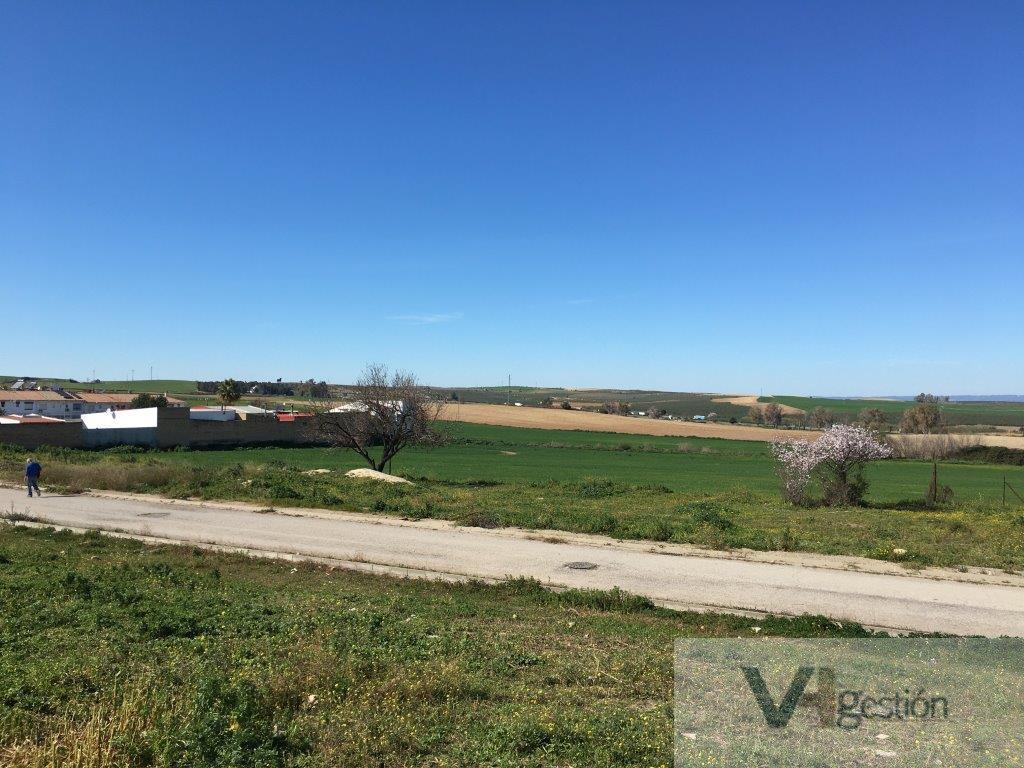 For sale of land in Huévar del Aljarafe