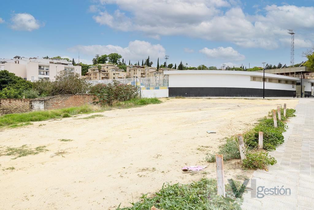 For sale of land in Tomares