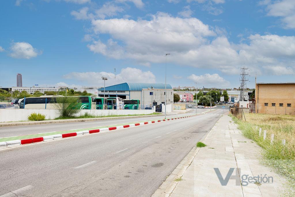 For sale of land in Tomares