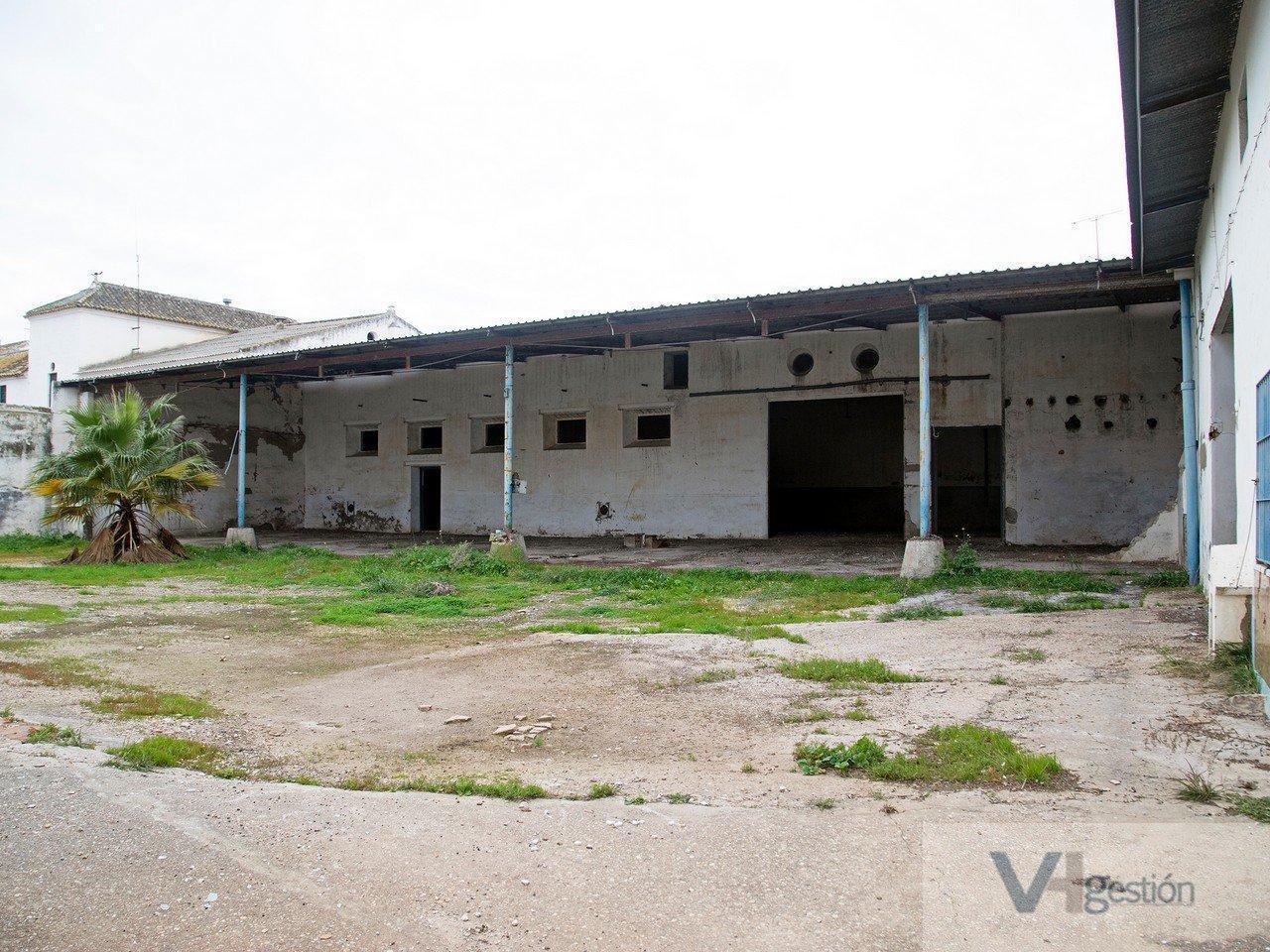 For sale of industrial plant/warehouse in Marchena