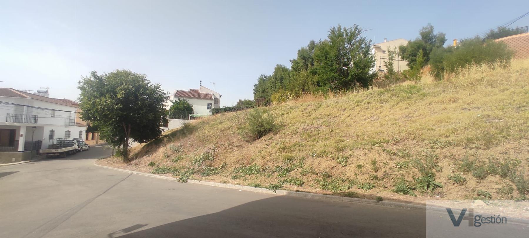 For sale of land in Villamartín