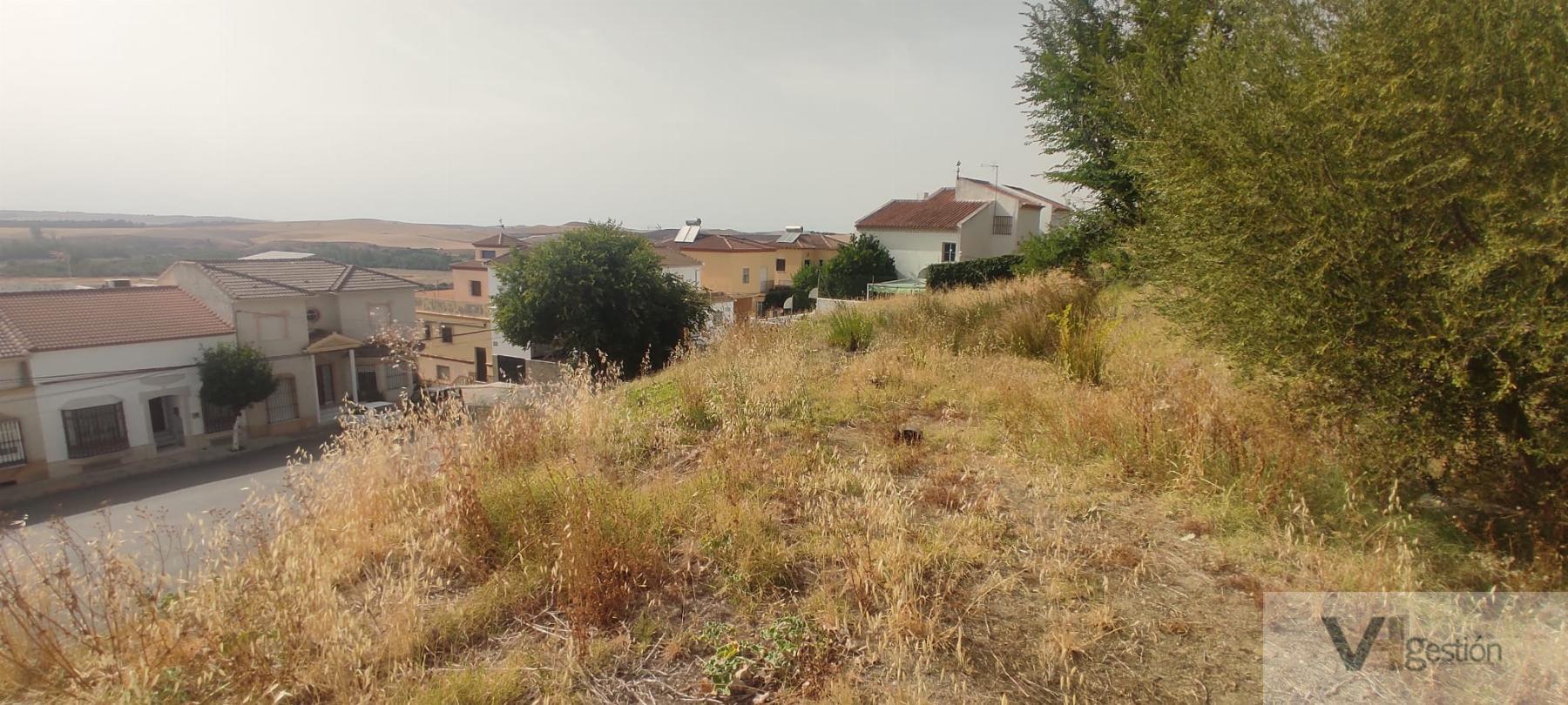 For sale of land in Villamartín