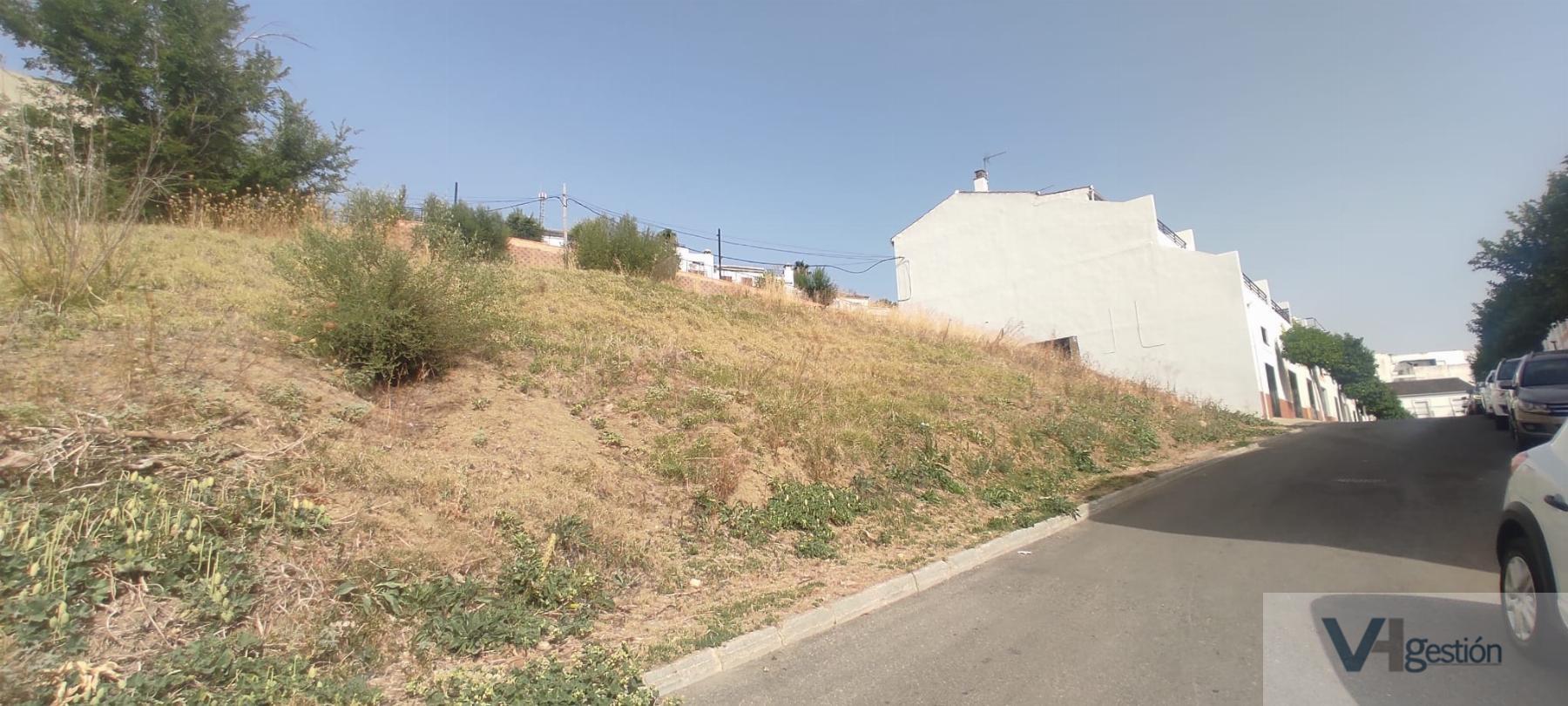 For sale of land in Villamartín