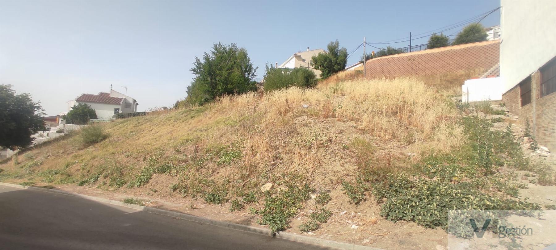 For sale of land in Villamartín