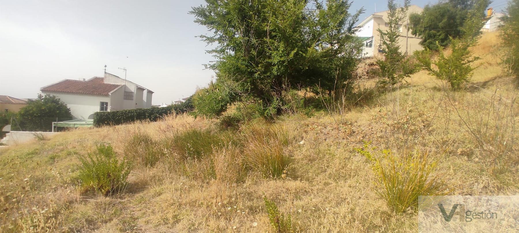 For sale of land in Villamartín
