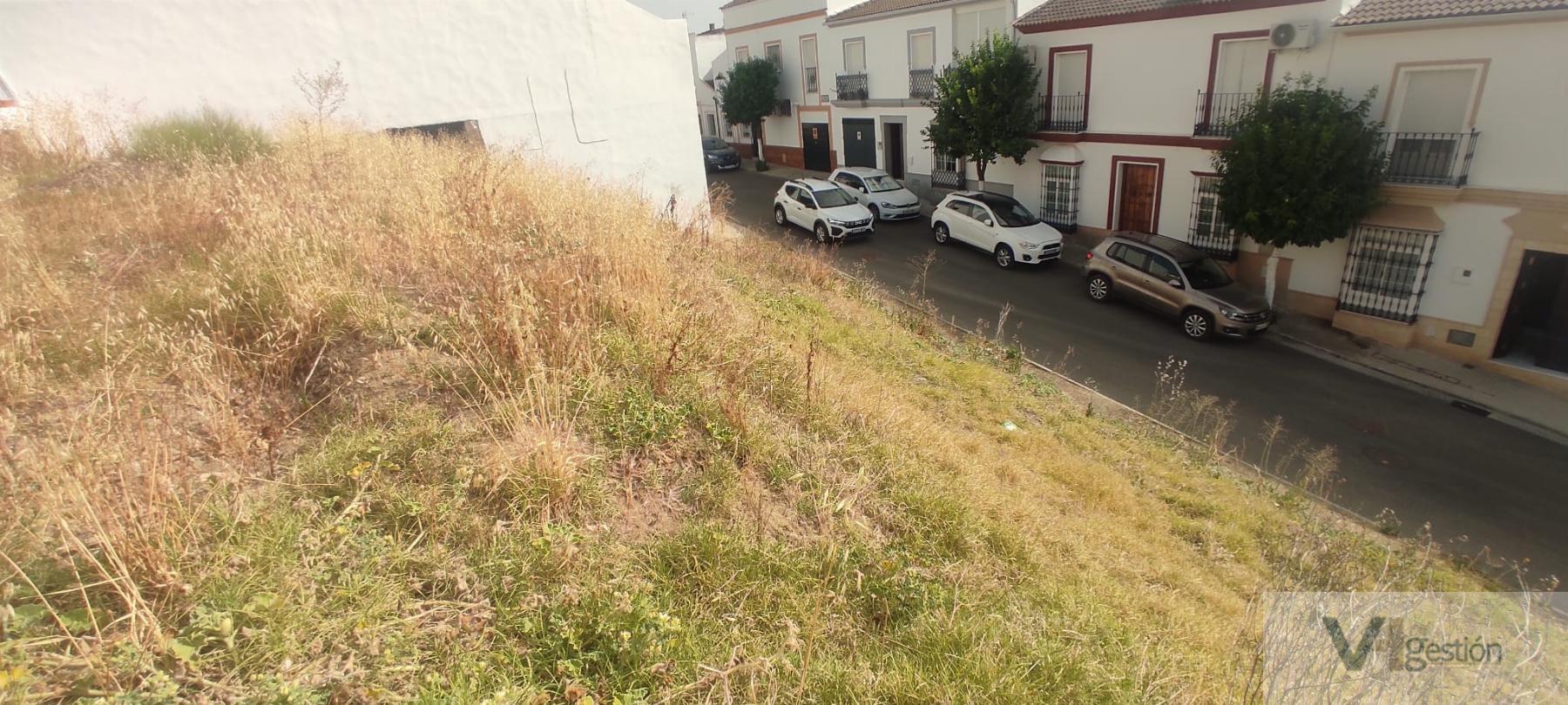 For sale of land in Villamartín