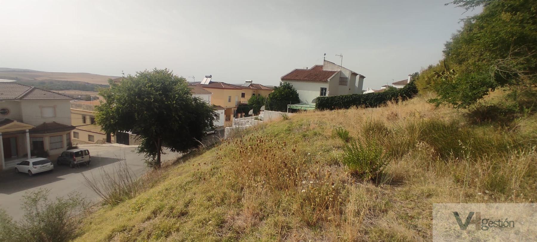 For sale of land in Villamartín