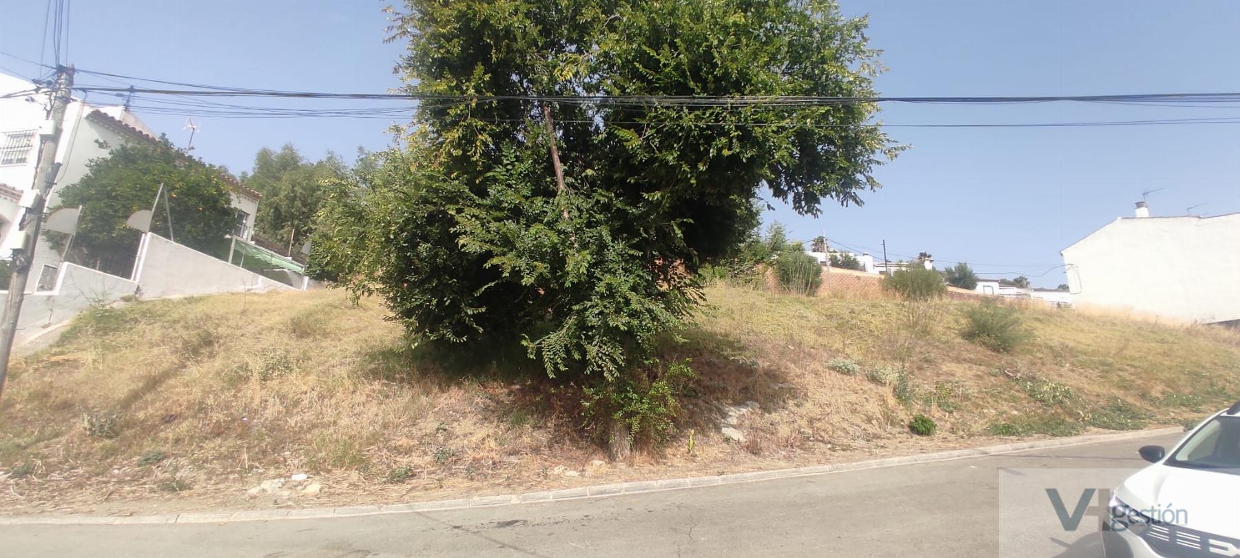 For sale of land in Villamartín