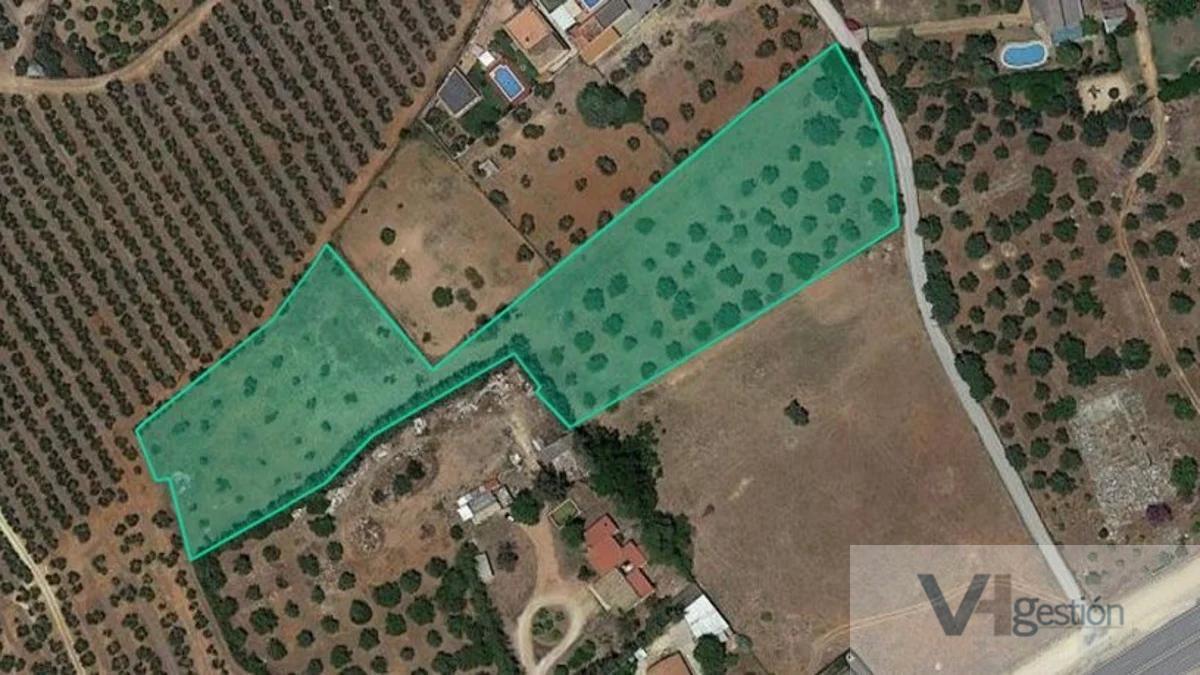 Venta de terreno en Dos Hermanas