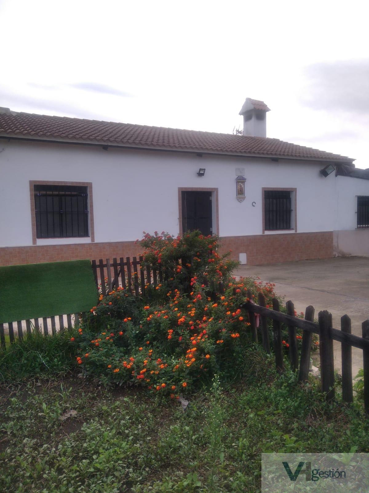 For sale of rural property in Villamartín