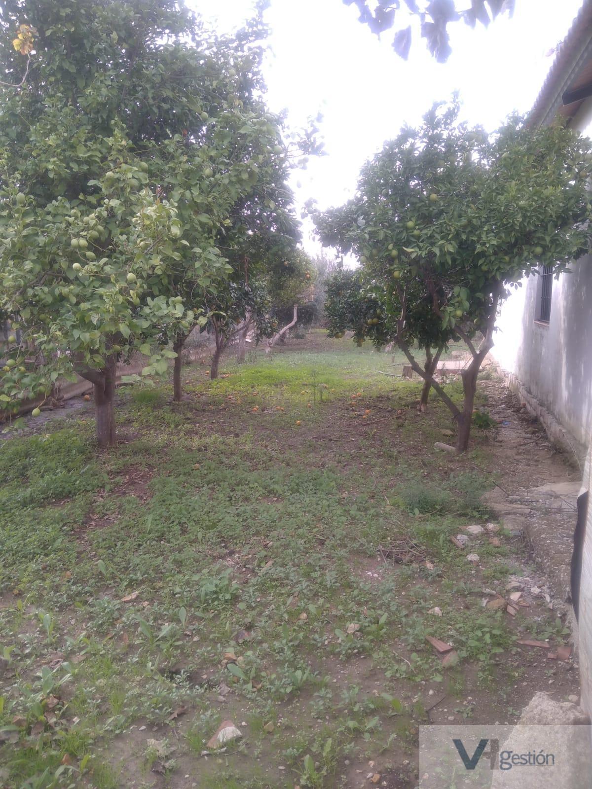 For sale of rural property in Villamartín