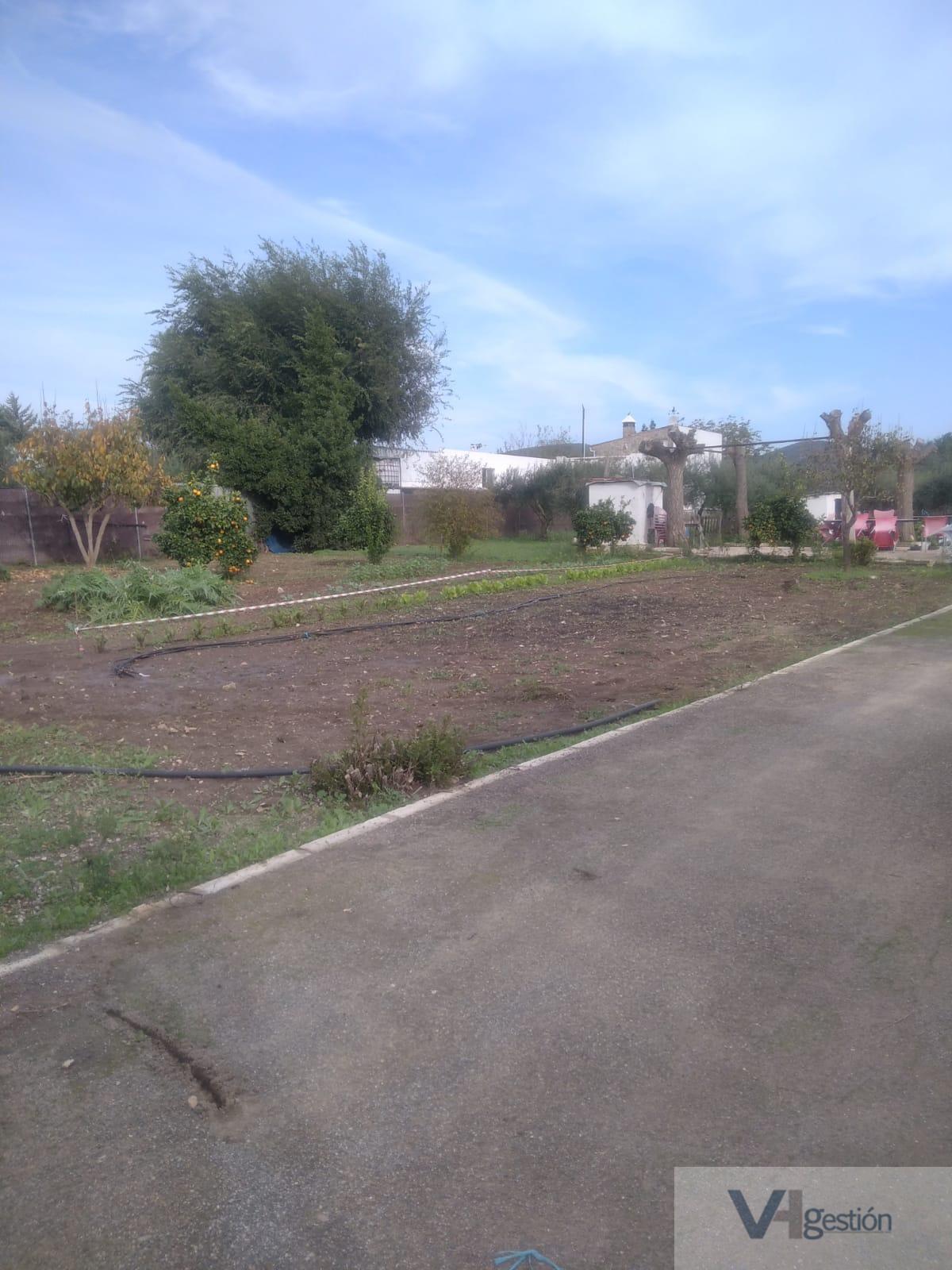 For sale of rural property in Villamartín