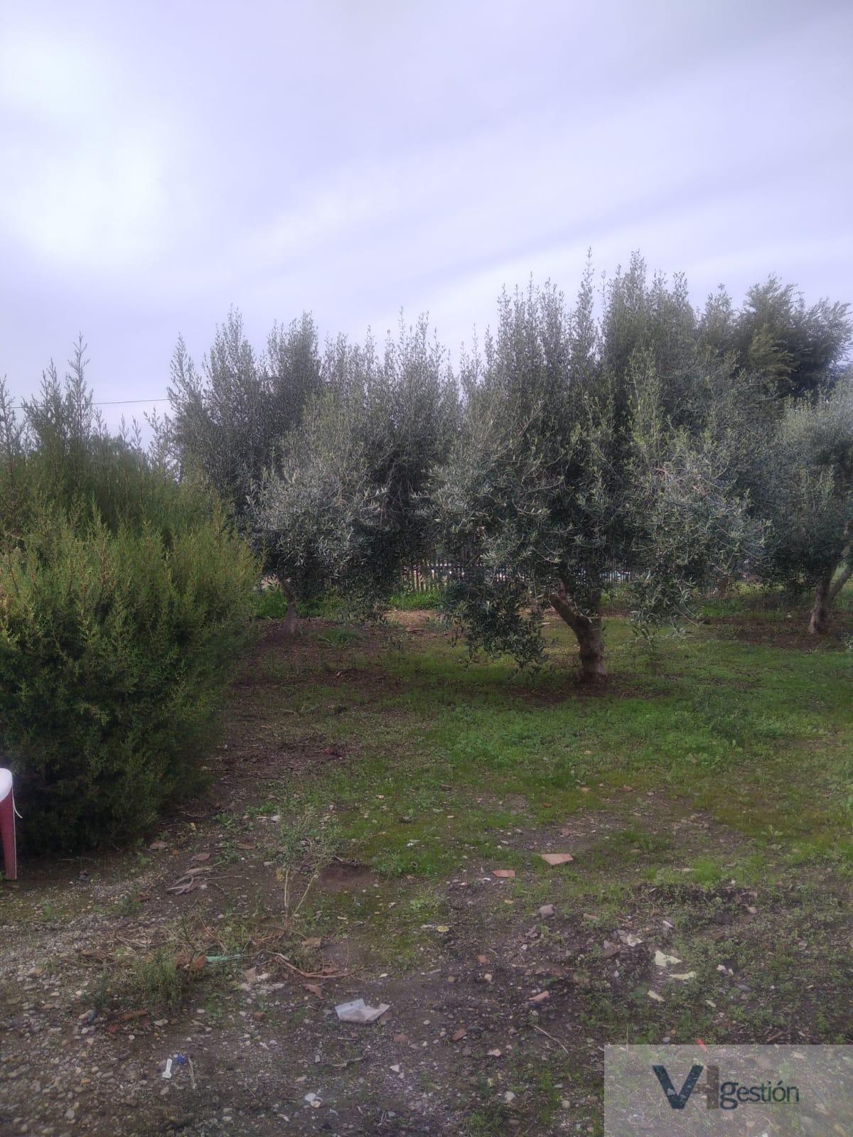 For sale of rural property in Villamartín