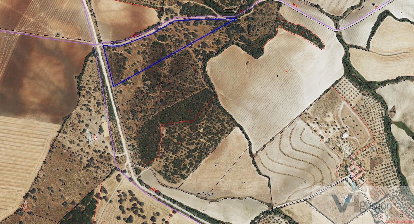 For sale of land in Villamartín