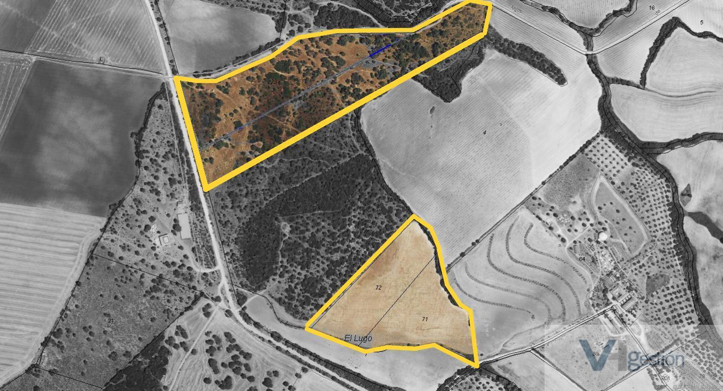 For sale of land in Villamartín