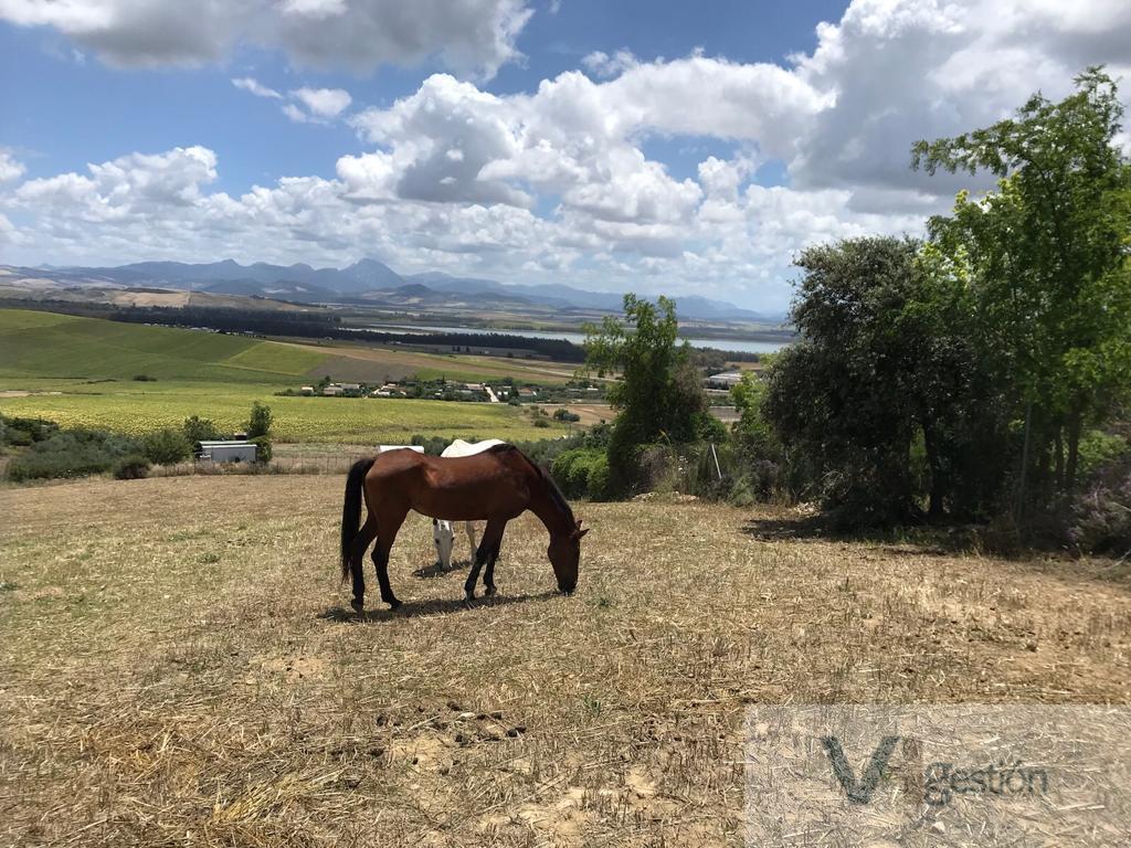 Venta de terreno en Bornos