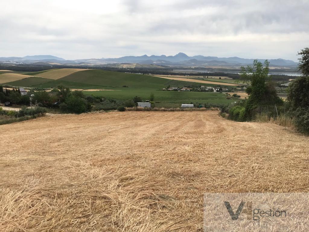 Venta de terreno en Bornos