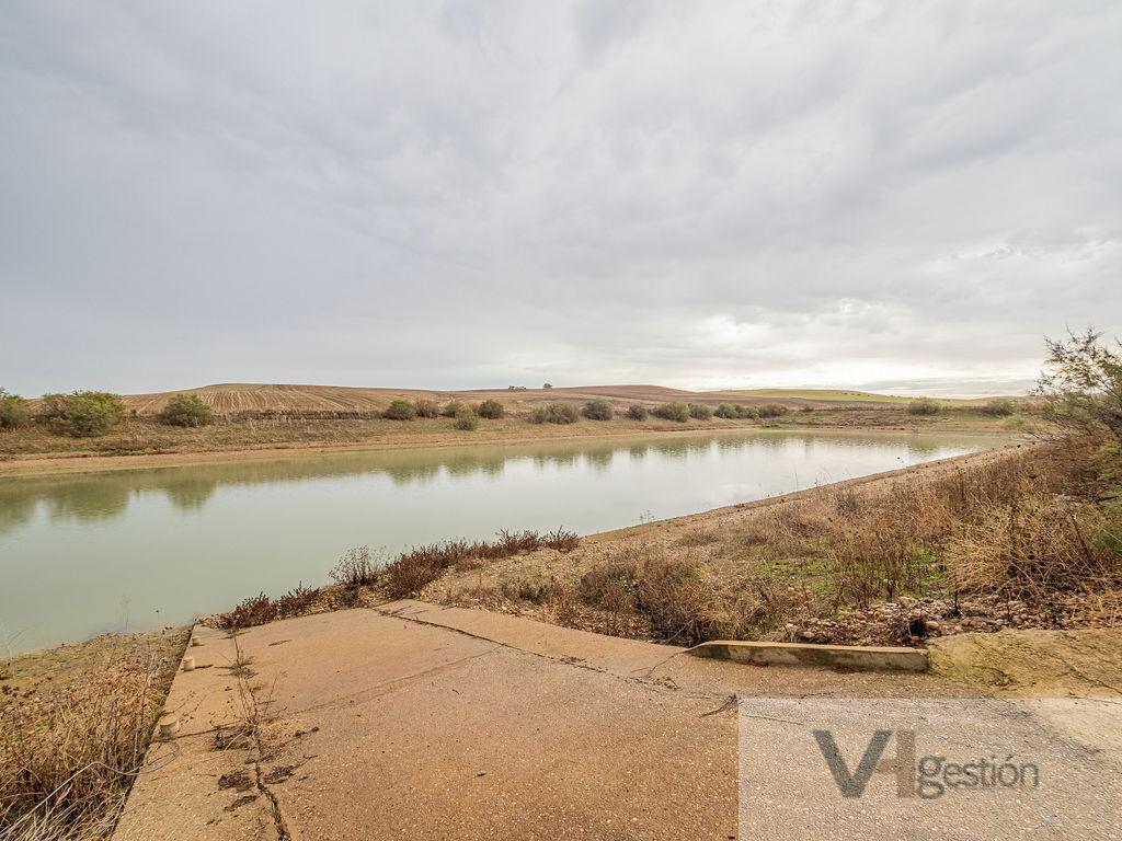 Venta de finca rústica en Lora del Río