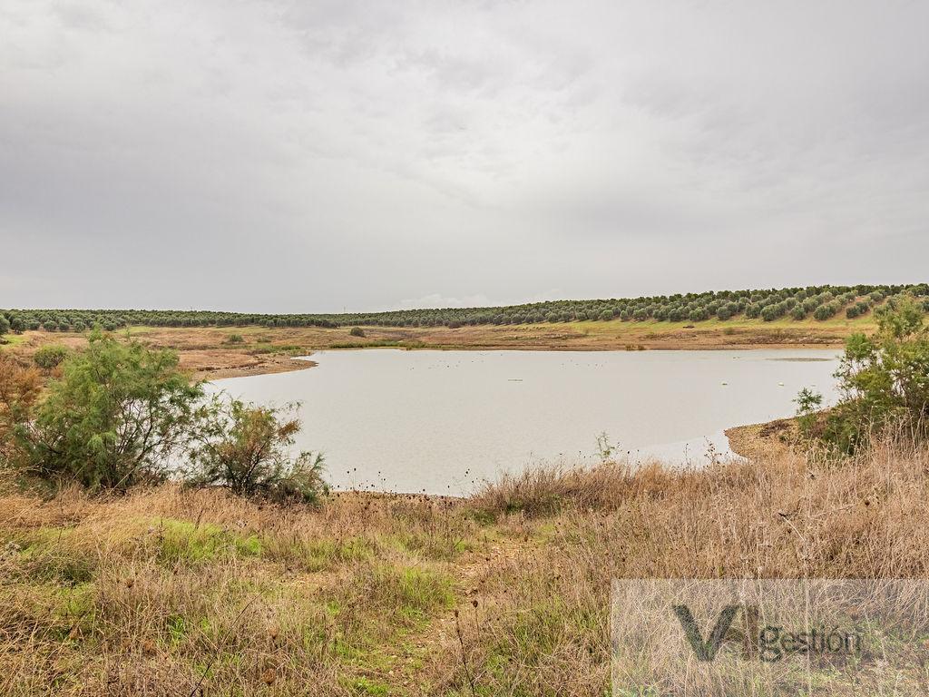Venta de finca rústica en Lora del Río
