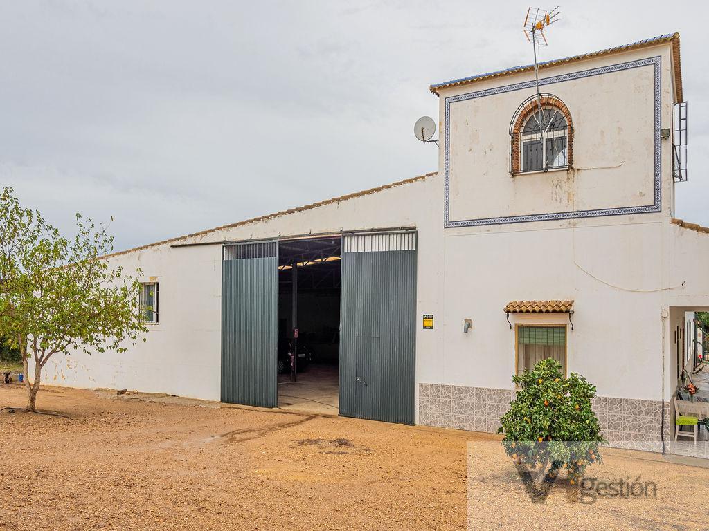Venta de finca rústica en Lora del Río