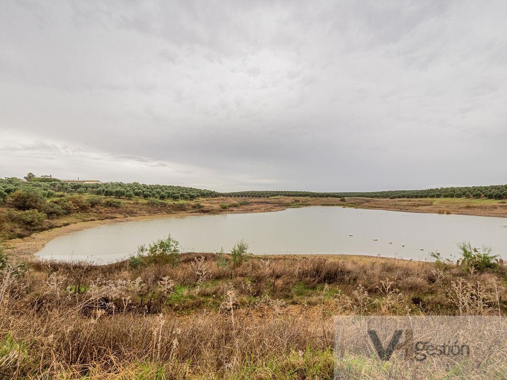 Venta de finca rústica en Lora del Río
