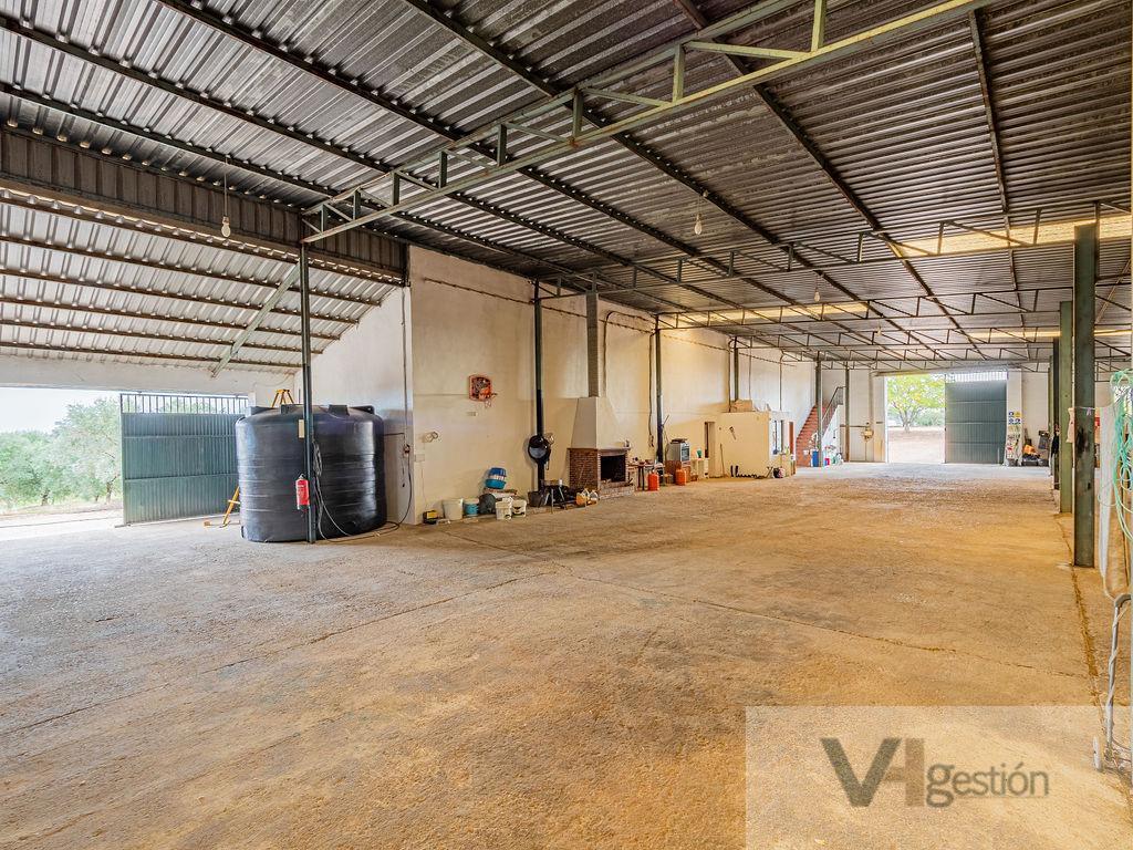 Venta de finca rústica en Lora del Río