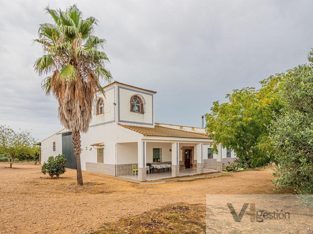 Venta de finca rústica en Lora del Río