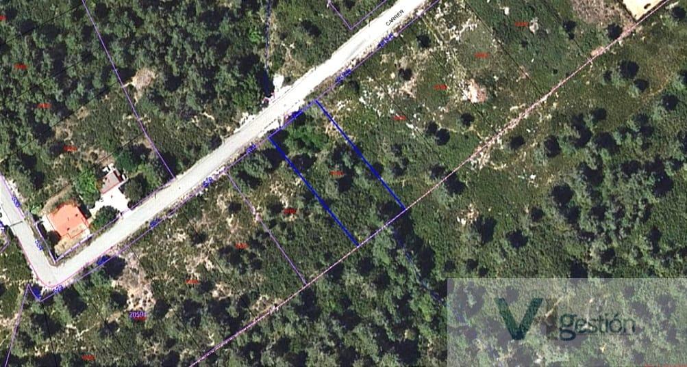 For sale of land in Querol