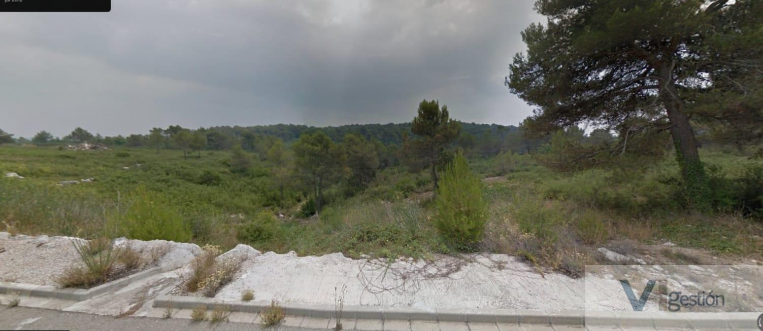 For sale of land in Querol