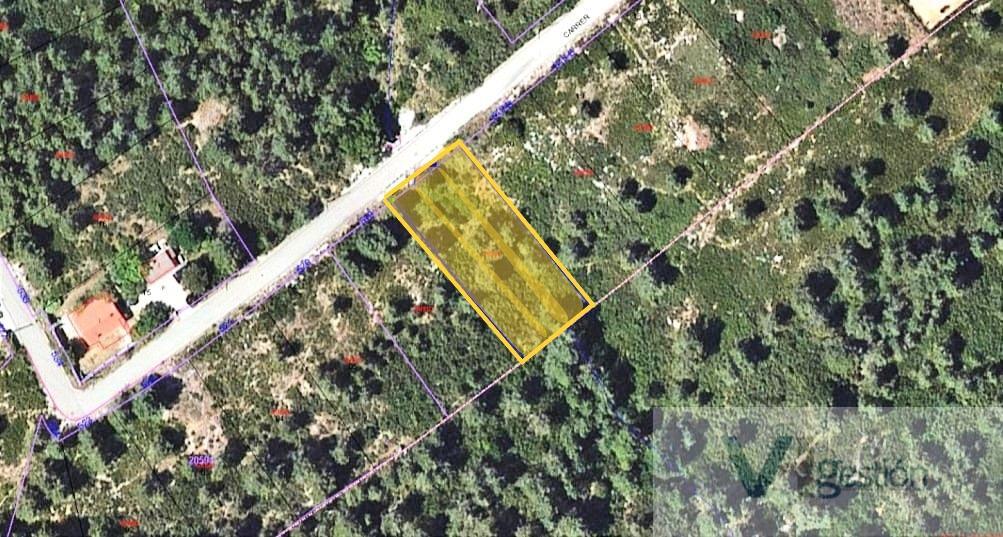 For sale of land in Querol