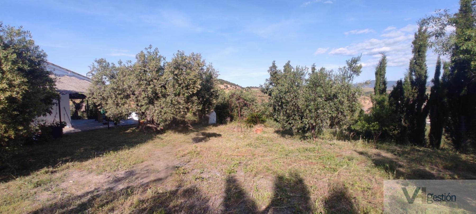 For sale of rural property in Montellano