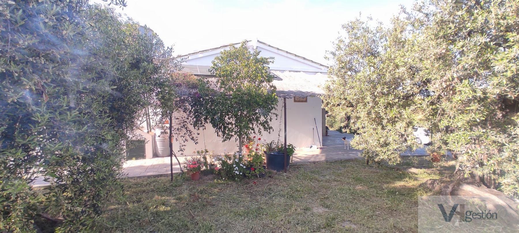 For sale of rural property in Montellano