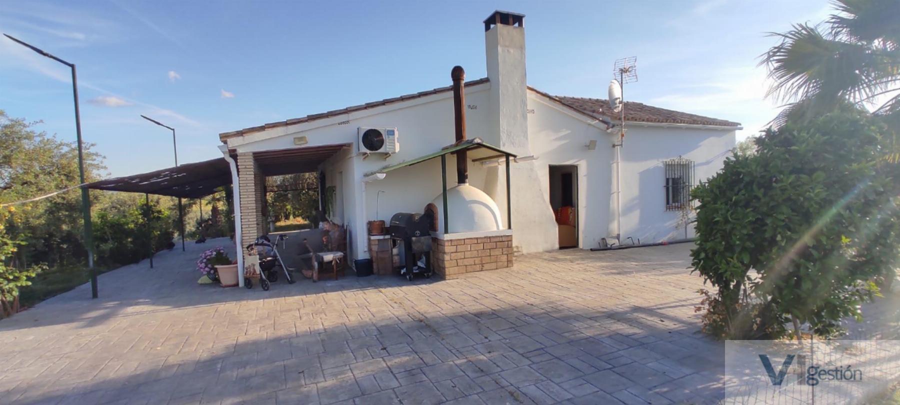 For sale of rural property in Montellano