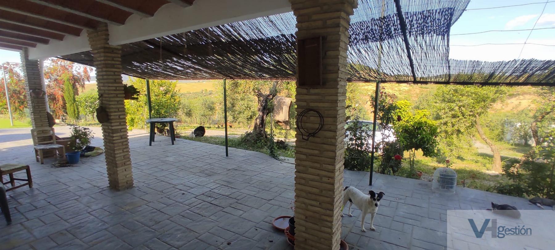 For sale of rural property in Montellano